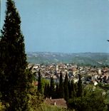 POSTAL MODERNA Vence el bonito