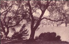 CPA Villefranche sur Mer