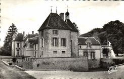 VINTAGE POSTCARD Armeau Castle of Palteau Colony Holidays of Trefimetaux