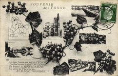VINTAGE POSTCARD To remember of Yonne