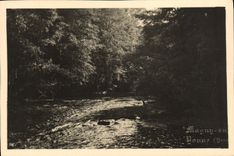 VINTAGE POSTCARD Magny on Yonne