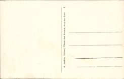 VINTAGE POSTCARD D' Arcy On Cure the Caves Room of butchery