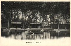 CPA Auxerre L'Arbre Sec