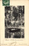 VINTAGE POSTCARD Auxerre the dry tree rustic bridge