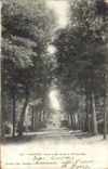 VINTAGE POSTCARD Auxerre Covered way to the Dry Tree