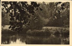 CPA Avallon Ombrages Au Bord Du Cousin