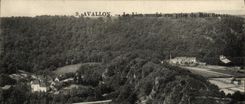 CPA Avallon Le Lion Couche Vue Prise Du Bois Gargan