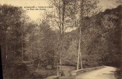 CPA Avallon Vallee Du Cousin Le Pont Des Gardes