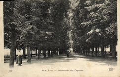 CPA Avallon Promenade Des Capucins