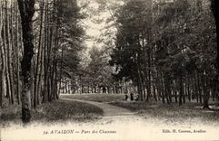 CPA Avallon Parc Des Chaumes
