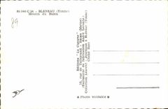 CPM Bleneau Moulin Du Bazin