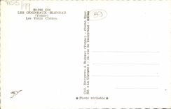 CPM Les Gogneaux Bleneau Les Vieux Chenes