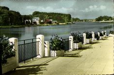 CPM Joigny Les Bords De l'yonne