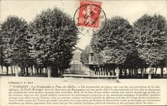 CPA Joigny Les Promenades Et Place Des Halles