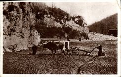 VINTAGE POSTCARD Abbey of Pierre who transfers the angelus with the fields