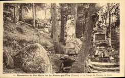 CPA Monastere de Ste Marie de La Pierre qui Vire La vierge du chemin de croix 