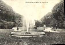 CPA Sens Les Jets d'Eau au Tapis vert