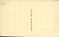 VINTAGE POSTCARD St Fargeau Part of water and Castle