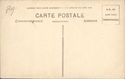 VINTAGE POSTCARD St Fargeau Castle and Parc