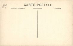 VINTAGE POSTCARD St Fargeau and the Castle of the Castle