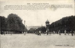 VINTAGE POSTCARD Sens the Walk of the Green Carpet