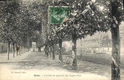 CPA Sens L'Allee de gauche du Tapls Vert