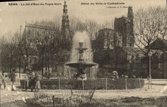 CPA Sens Le Jet d'Eau du Tapis Vert Hotel de Ville et Cathedrale Enfants