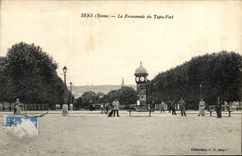 CPA Sens La Promenade du Tapis Vert