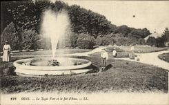 CPA Sens Le Tapis Vert et le Jet d'Eau
