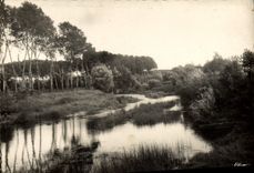 CPM Tonnerre Bords De l'Armancon