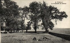 VINTAGE POSTCARD Vezelay the Walk of the Castle
