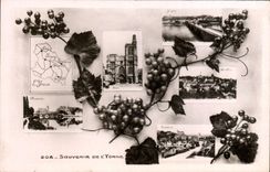 CPA Souvenir De l'Yonne