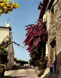 MODERN CARD The coast of Grimaud Moors a Street Of the Village