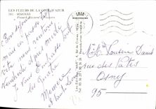 MODERN CARD Flowers Of the Dimension of Azure Mimosas Children