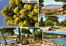 CPM Souvenir De La Cote Varoise Toulon Carquetranne La CApte Le Lavandou 