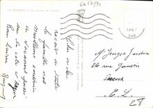 CPM La Provence Et Ses Champs De Lavande