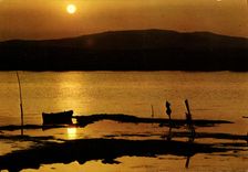 MODERN CARD the Mediterranean With the Shores Without Clouds Softness One Evening of Summer