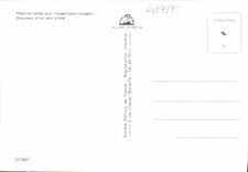 CPM Mediterranee Aux Rivages Sans Nuages Douceur d'Un Soir d'Ete