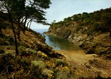 CPM Mediterranee Aux Rivages Sans Nuages Calanque Ou La Vague S'Abrite