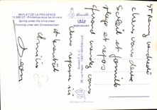 CPM Reflet De La Provence Printemps Sous Les Oliviers