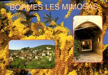 MODERN CARD the Dimension of Bormes Azure Mimosas