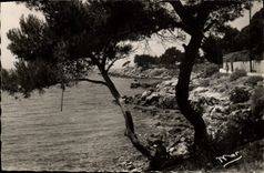 CPM Bandol Sous Bois Et Bord De Mer Du Capeland