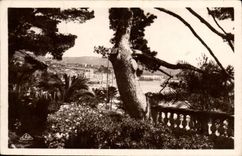 CPA Bandol Sur Mer Vue Generale