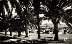 VINTAGE POSTCARD Bandol Gone Of Palm trees
