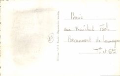 VINTAGE POSTCARD Bandol Gone Of Palm trees