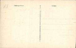 VINTAGE POSTCARD the Dimension of Bandol Azure the Renecros Beach Seen from Of the Pension the Seagull