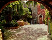 CPM Cote d'Azur Bormes Les Mimosas Un Cubert Poulid Cantoun