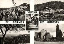 MODERN CARD To remember De Bormes Mimosas