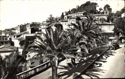 CPM Cote D'Azur Bormes Les Mimosas Vue Generale