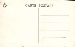 VINTAGE POSTCARD Surroundings Of Toulon Details Of Pines At the seaside